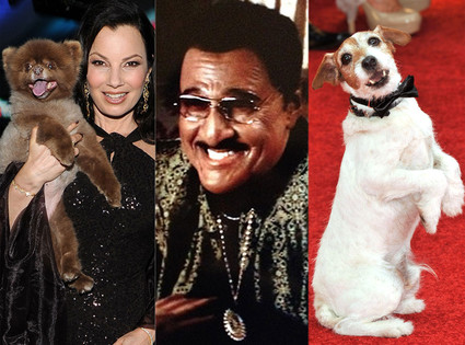 Fran Drescher, Uggie, Billy Crystal Fran Drescher, Uggie, Billy Crystal